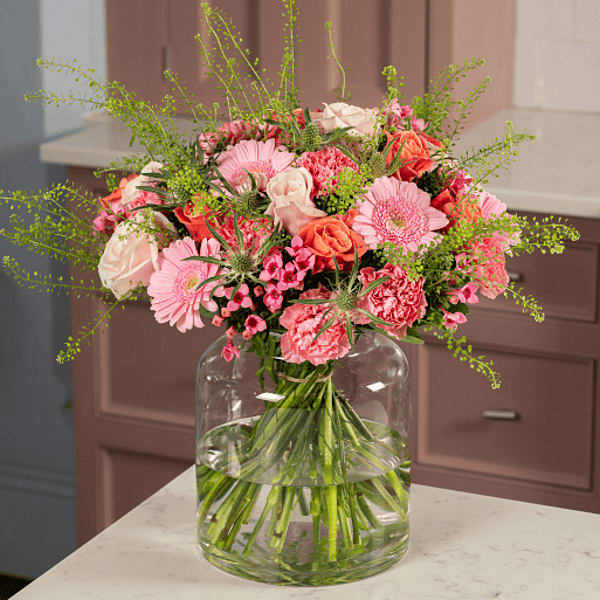 Carnation Flowers